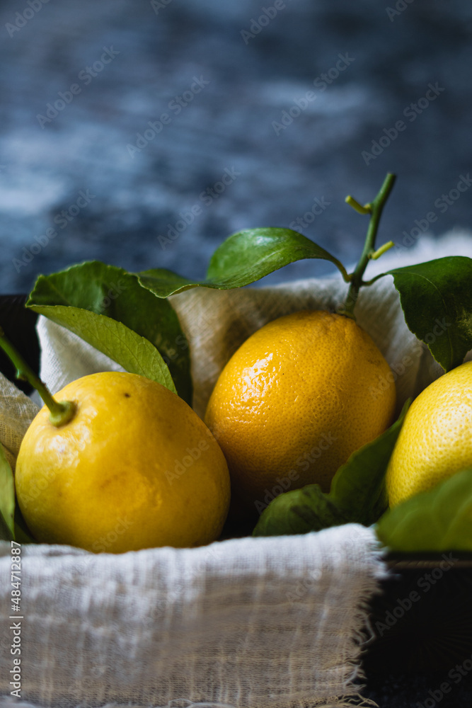 Close up of fresh vibrant yellow lemons with bright green leaves in a white bowl. Dark blue background. Food image with copy space 
