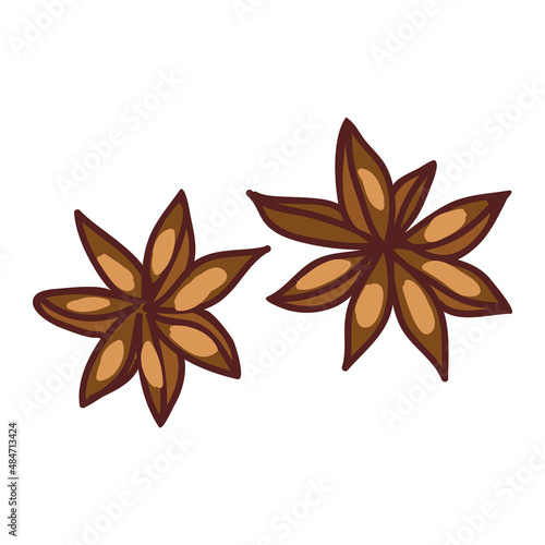 Winter aromatic anise star spices for decoration and preparation of pastries and drinks. Vector.