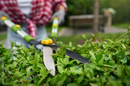 Close up of female gardener in gloves using special clippers for trimming bushes outdoors. Landscaping process during summer season. 