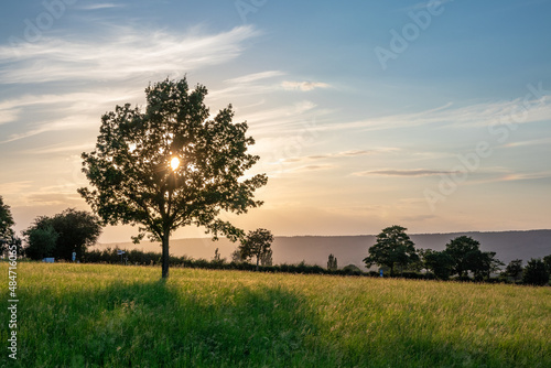 Country landscape in sunshine in Germany