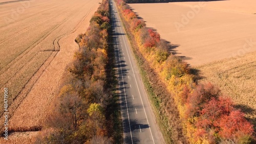 Road along colorful autumn trees through fields. Cars are moving on the road.