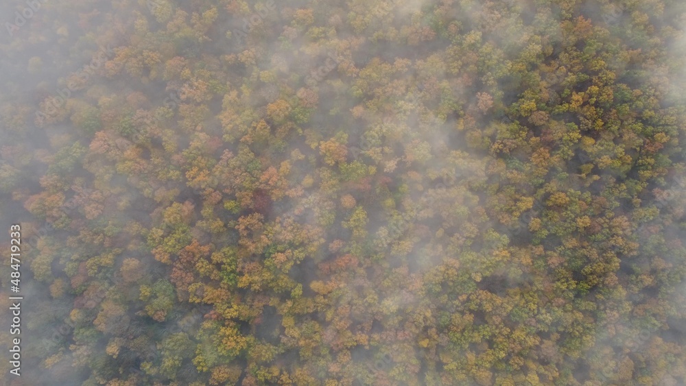 Aerial view of the fog flies over the autumn forest. The clouds are moving slowly