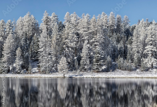 Snow-covered forest reflected in the water.