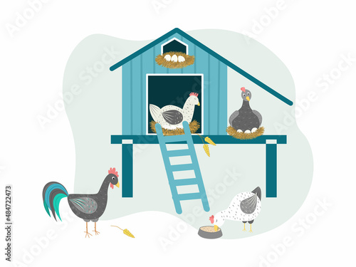 Chicken coop vector illustration. Characters of cute chickens that hatch eggs, a rooster in a chicken coop. Breeding birds on farms