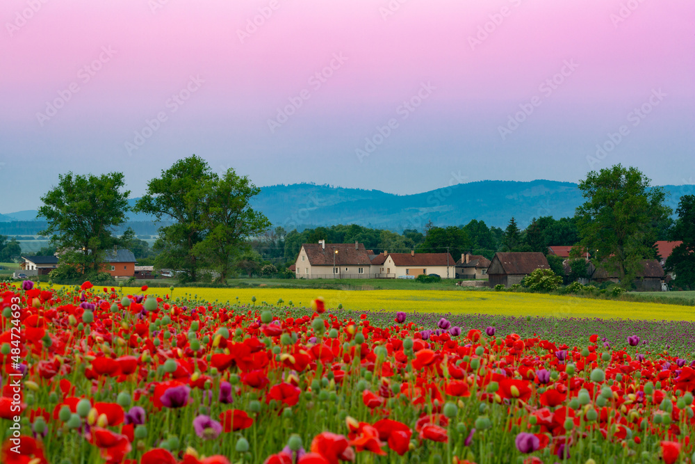 Summer rural landscape of Turiec region, Slovakia.