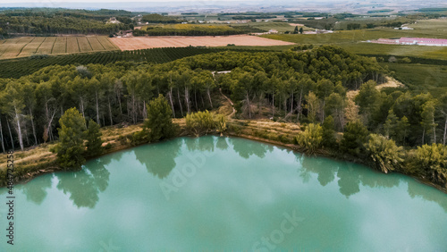Aerial view of a lake next to a pine trees