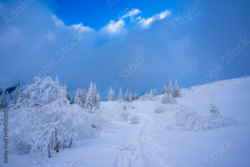 A magnificent mountain landscape with snow-covered trees. Tatra National Park. Poland.