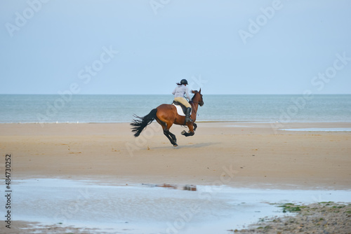 Teenage girl and her by horse enjoy moving at speed on empty beach in Wales UK, enjoying the motion and freedom that the space allows them , a dream that many young riders have .