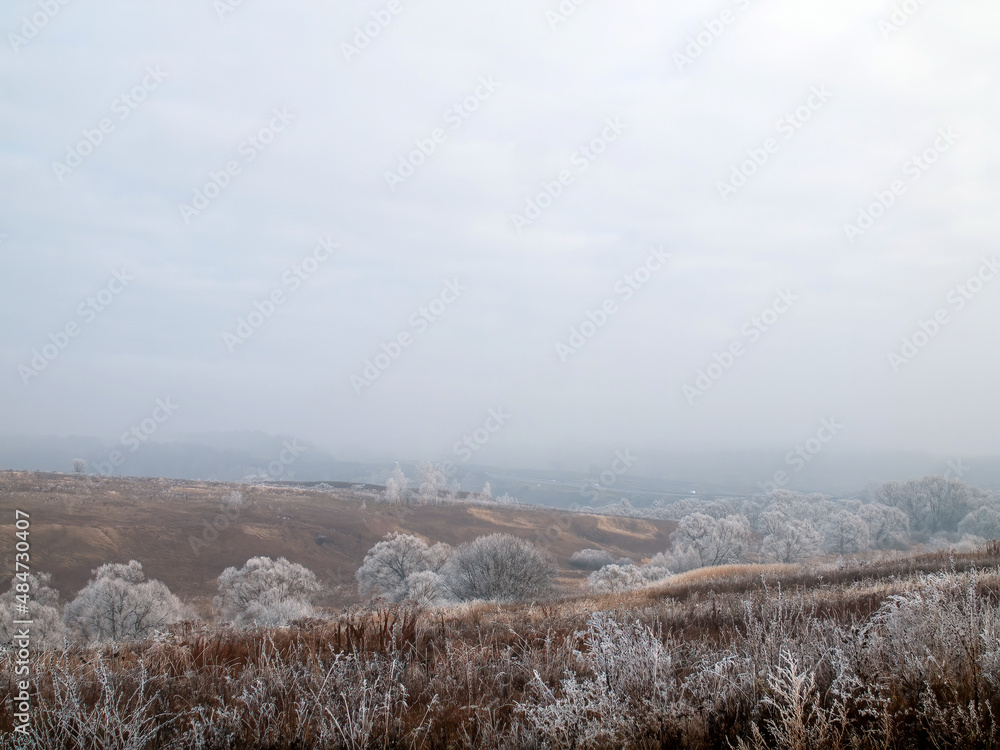 Fototapeta premium first frosts in central Russia