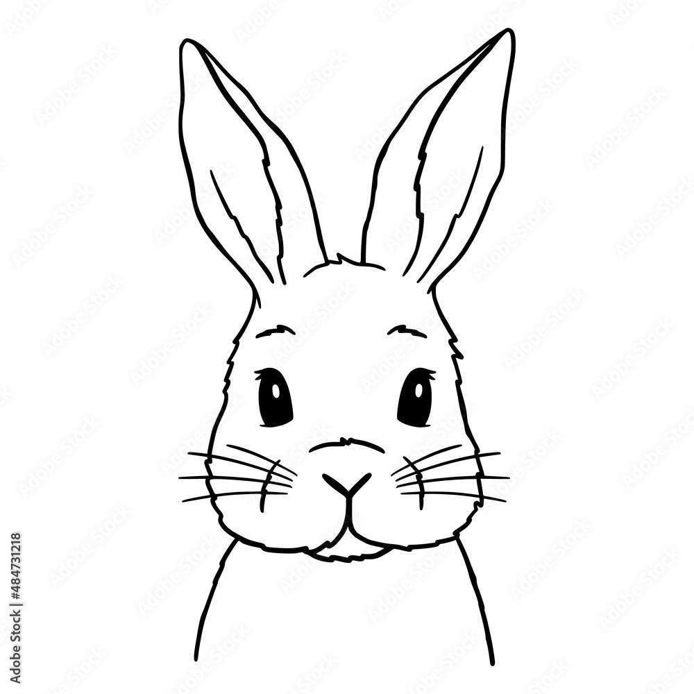 Fototapeta premium Cute Rabbit Line Art. Bunny sketch vector illustration. Good for posters, t shirts, postcards.