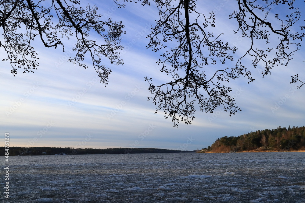 Sea landscape. Ice at the lake. Dark branches for silouette. One day in January. Stockholm, Sweden, Europe. Sea landscape. Ice at the lake. Dark branches for silouette. One day in January. Stockholm, Sweden, Europe.