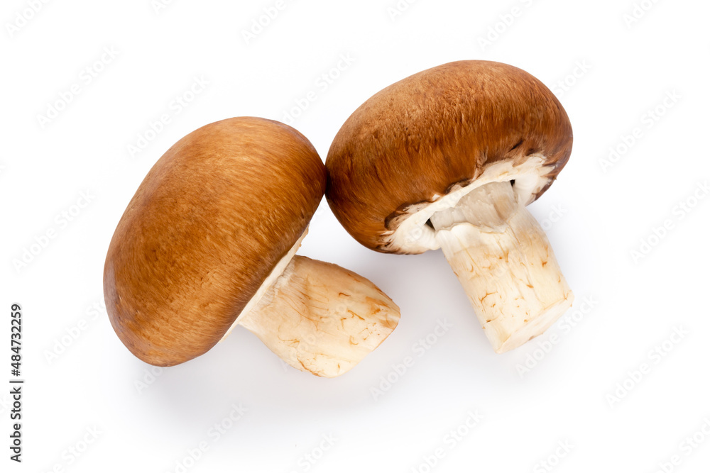 Fresh champignon mushrooms isolated on white. Fresh champignon mushrooms isolated on white.