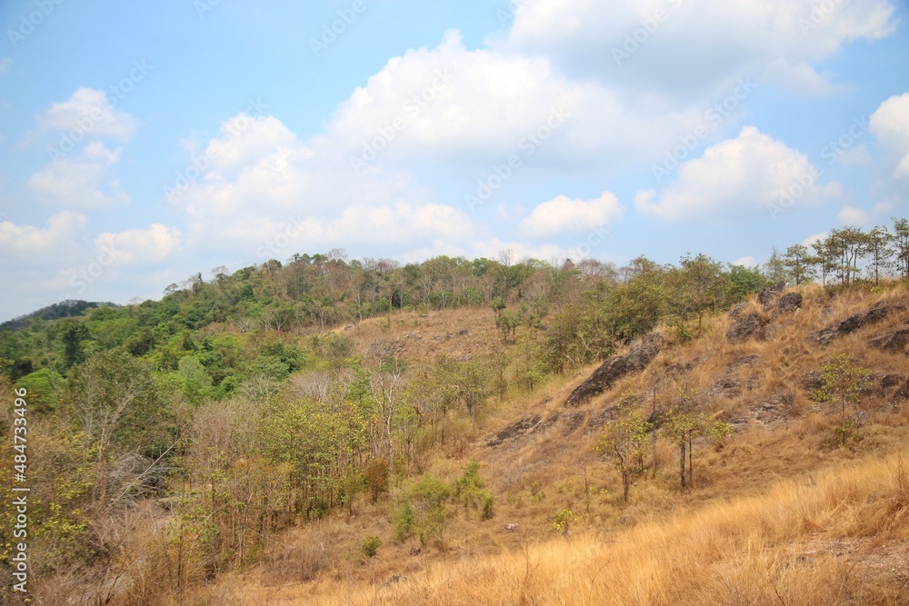 summer mountain scenery in thailand