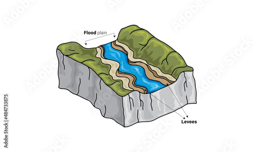 Flood Plain and Levees Formation, Detailed Vector Illustration of Hydrology and Civil Engineering Concepts on White Background for Environmental Education and Research.