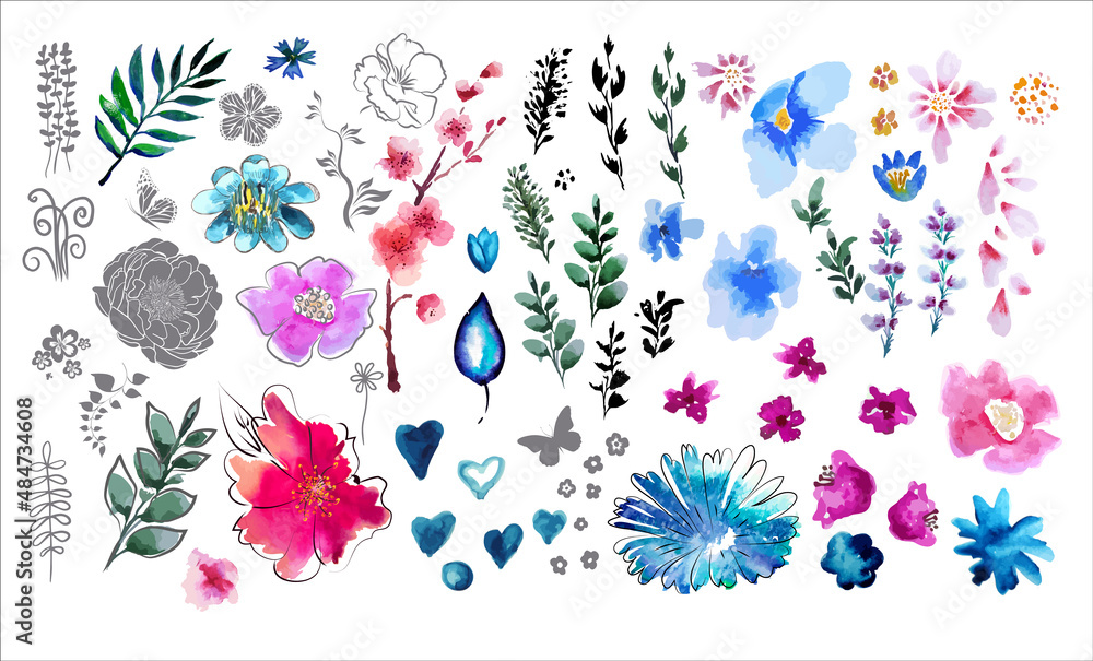 A set of watercolor flower and floral elements. Vector illustration