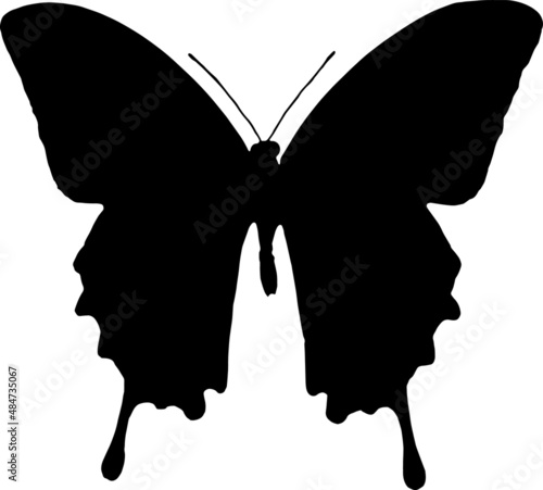 butterfly EPS, butterfly Silhouette, butterfly Vector, butterfly Cut File, butterfly Vector