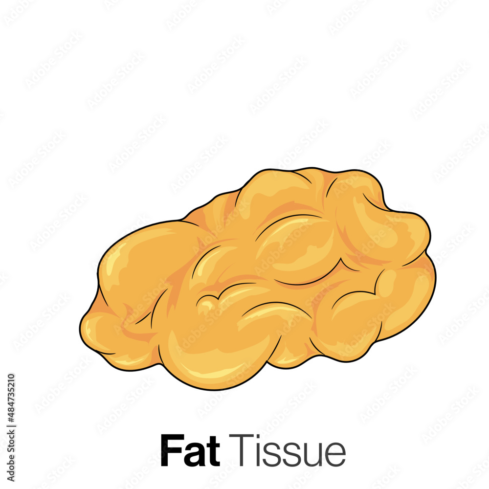 isolated white fat tissue in white background isolated white fat tissue in white background
