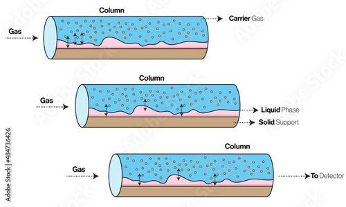 Visualizing Gas Chromatography: A Scientific Illustration of Analytical Precision and Chemical Separation Techniques in a Captivating Vector Art Form