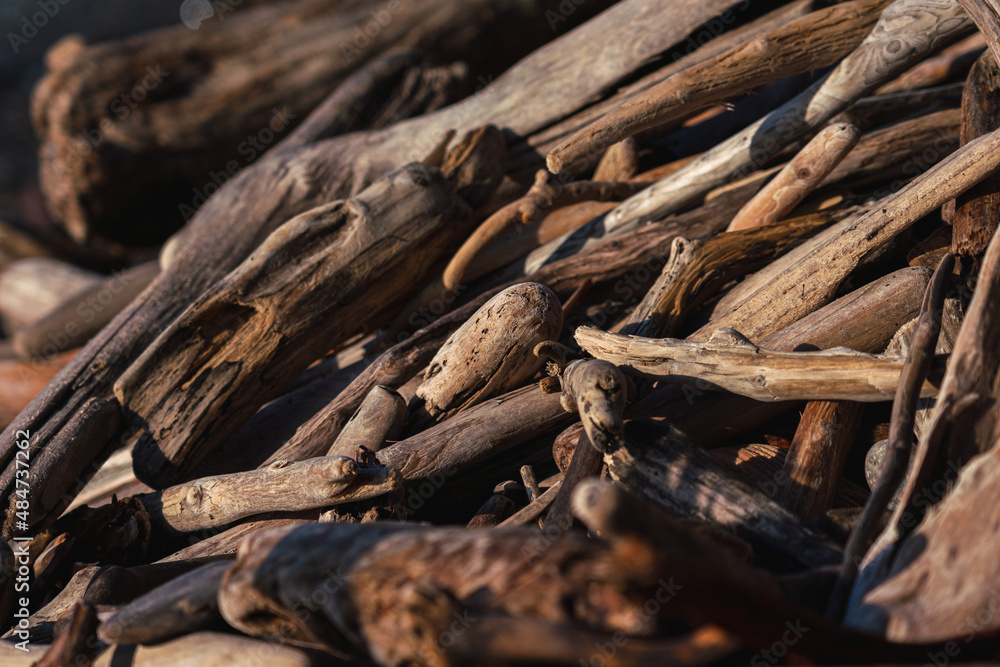 Driftwood on La Push Beach, Olympic National Park!