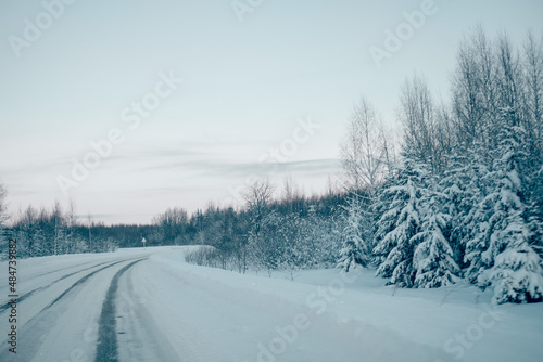 winter landscape snowy trees blue sky