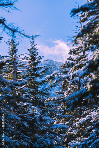 Tuckerman's Ravine on Mount Washington, New Hampshire!