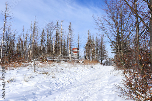 Beautiful winter mountain landscape with clear blue sky and snowy trees. View tower in background.  Biskupia Kopa, Opawskie Mountains, Poland. photo