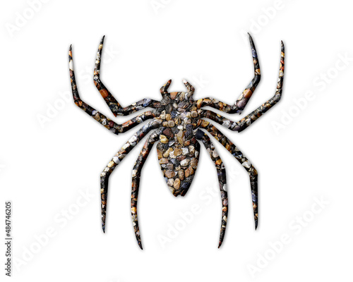 Spider Arachnid Stones Icon Logo Symbol illustration