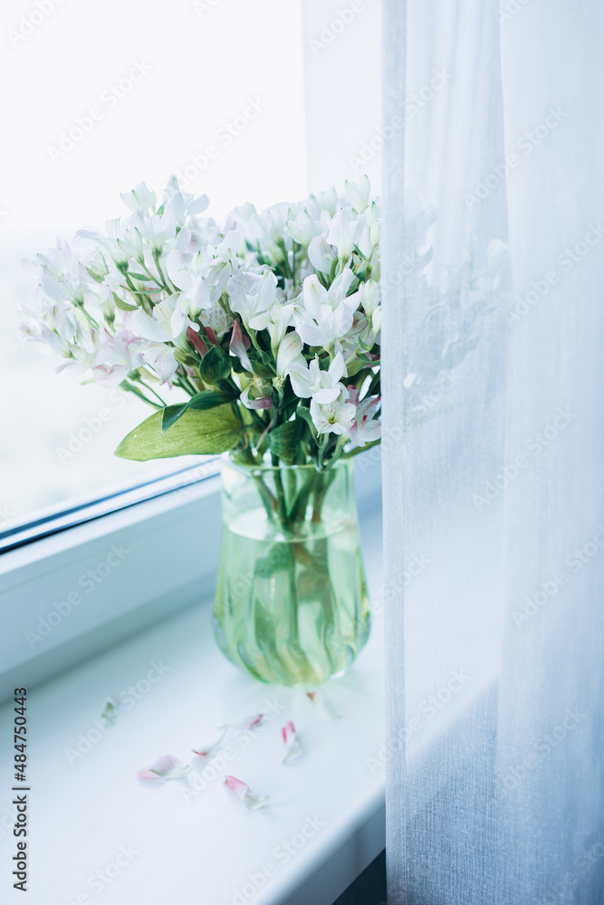 vase with white flowers on the window sill vase with white flowers on the window sill