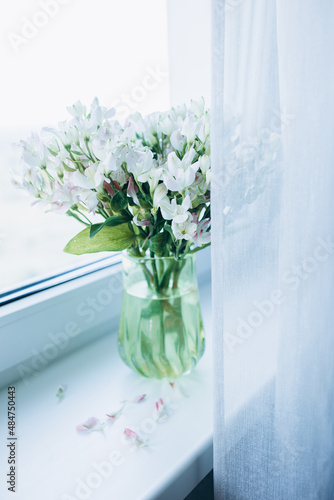 vase with white flowers on the window sill