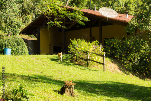 Casa da fazenda setor rural. Casa amarela com telhado de barro no meio da vegetação e terreiro gramado.  photo