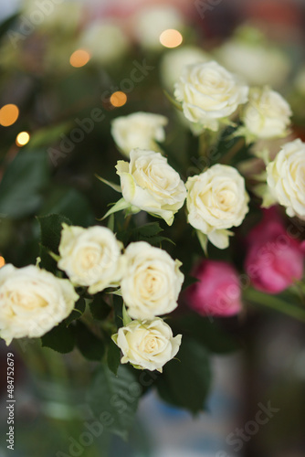 bunch of roses © nastya