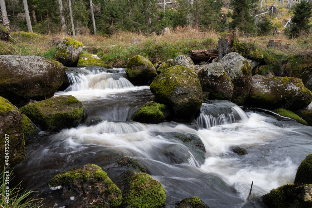 Stream in the middle of forest, CZ: Hamersky potok, Sumava national park, Czech republic Stream in the middle of forest, CZ: Hamersky potok, Sumava national park, Czech republic