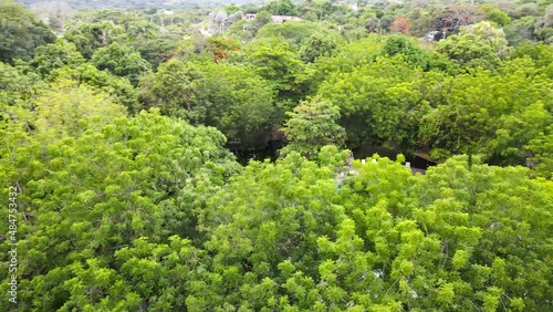 Naturaleza Colombia
