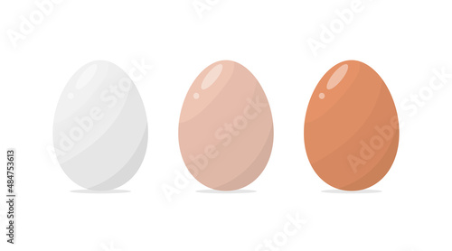 Chicken eggs with different shade of shell set