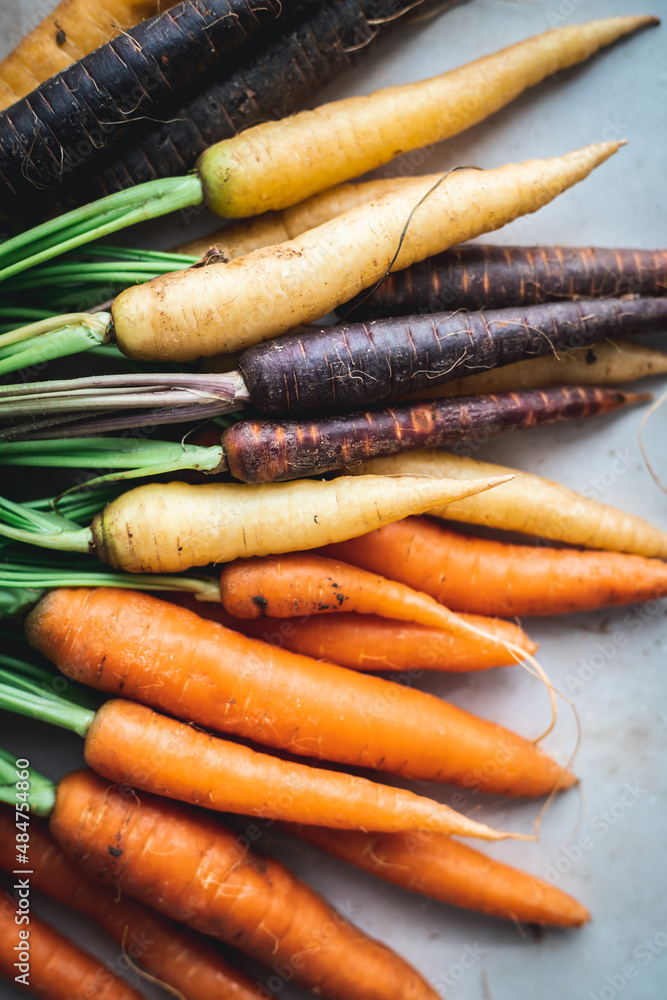 fresh carrots fresh carrots