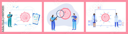 Insemination and fertilization