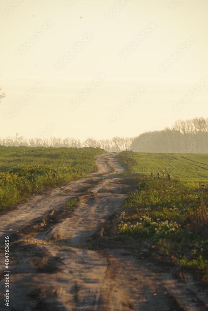 Fototapeta premium road in the morning