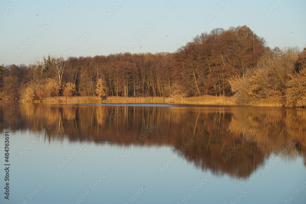 autumn trees reflected in water