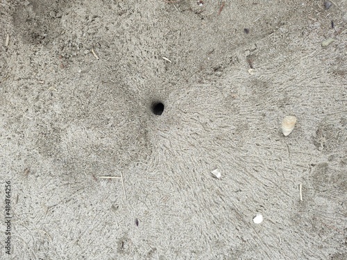 Textures