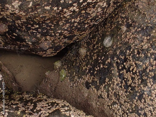 Textures
