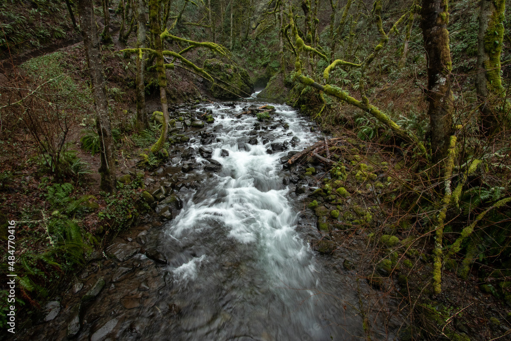 waterfall in the forest waterfall in the forest