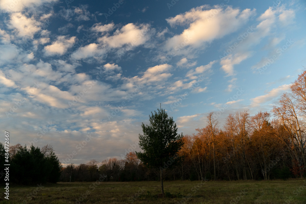 autumn landscape with trees and clouds