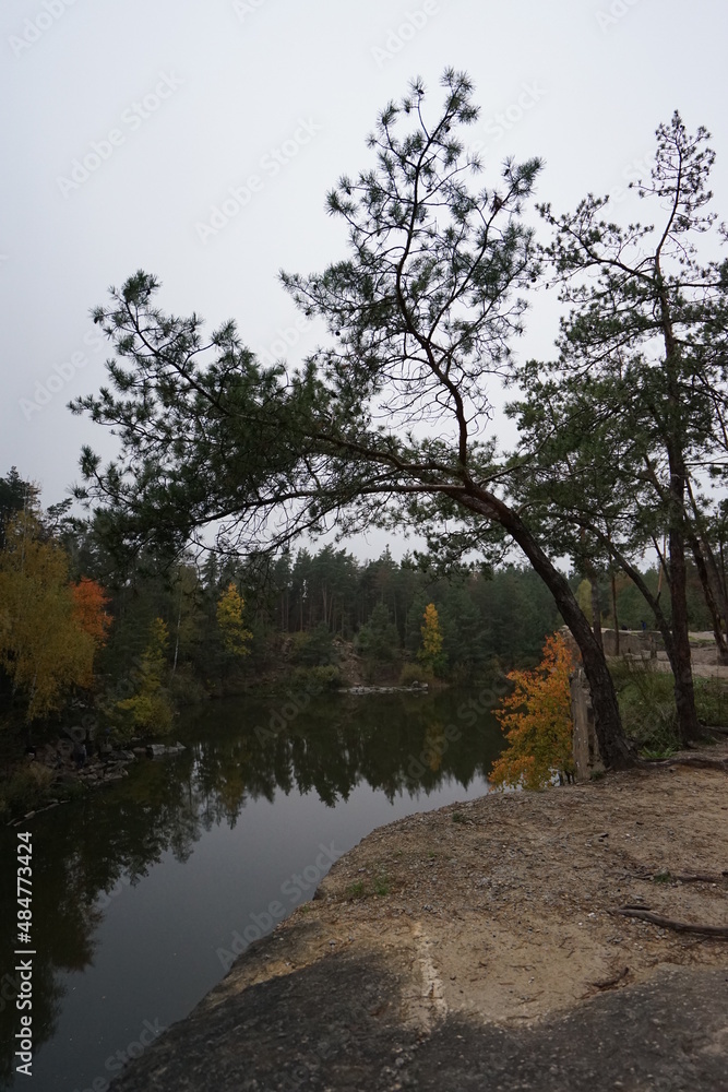 Obraz premium trees on the river