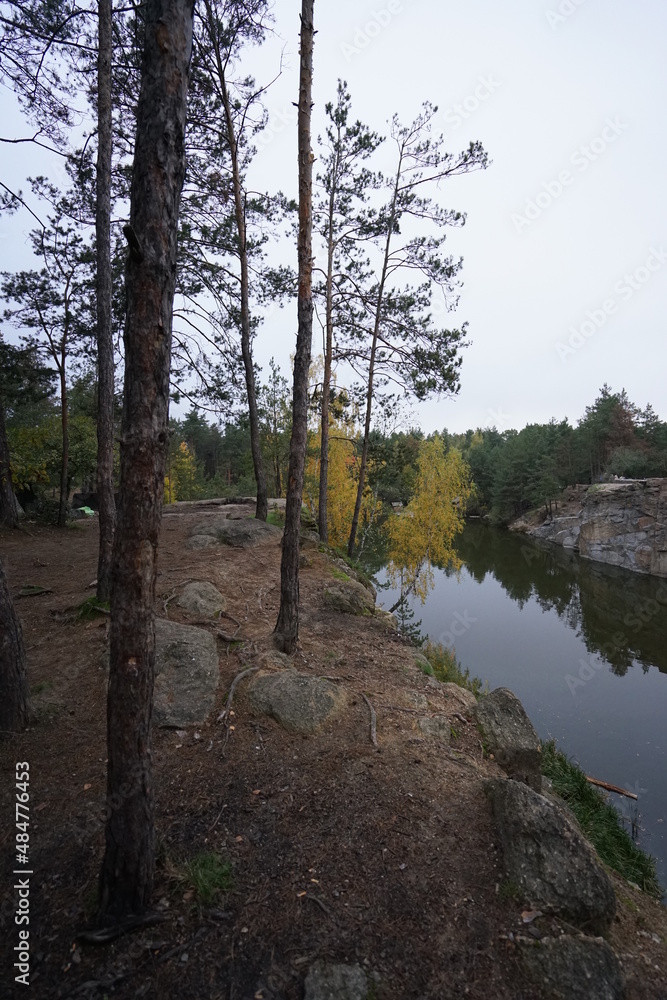 river in the forest