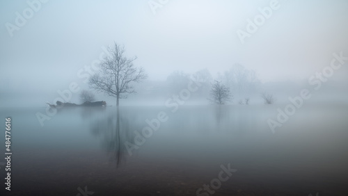 misty morning by the river