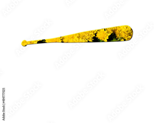 Baseball Bat Sunflowers Icon Logo Symbol illustration