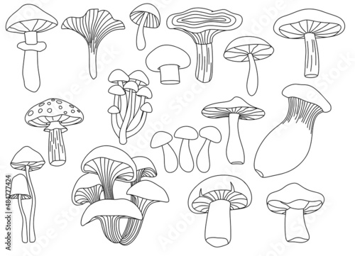 Mushrooms icon set in doodle style. 