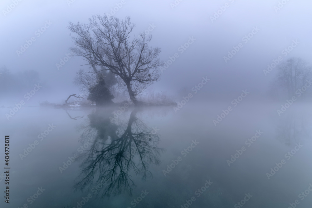 river in the fog river in the fog
