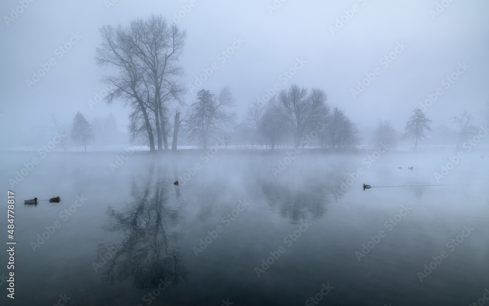 river in the fog river in the fog