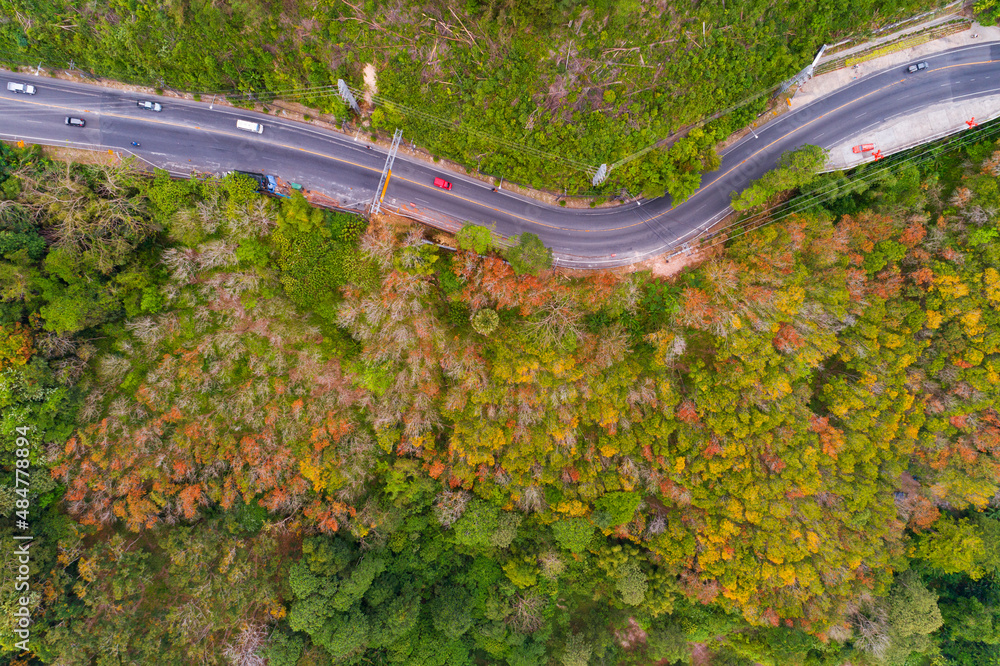 Aerial view of mountain road in forest in autumn season Top view from drone of curve road Colorful landscape with curved roadway Beautiful trees with orange leaves in fall Travel asia Phuket Thailand